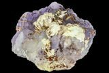 Purple, Cubic, Fluorite with Barite ( lbs) - Morocco #110563-5